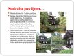 Prezentācija 'Japānas kultūra', 23.