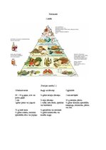 Referāts 'Veselīgs uzturs', 9.