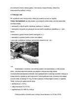 Paraugs 'Darba aizsardzības instrukcija par vibrācijas ietekmi uz cilvēka veselību un par', 2.