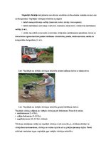 Paraugs 'Darba aizsardzības instrukcija par vibrācijas ietekmi uz cilvēka veselību un par', 3.