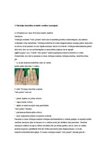 Paraugs 'Darba aizsardzības instrukcija par vibrācijas ietekmi uz cilvēka veselību un par', 4.