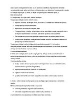 Paraugs 'Darba aizsardzības instrukcija par vibrācijas ietekmi uz cilvēka veselību un par', 5.