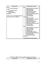 Referāts 'Veiksmīgas karjeras pamati', 12.