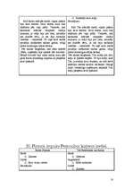 Referāts 'Veiksmīgas karjeras pamati', 18.