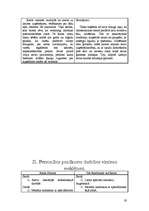 Referāts 'Veiksmīgas karjeras pamati', 19.