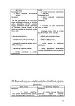 Referāts 'Veiksmīgas karjeras pamati', 20.