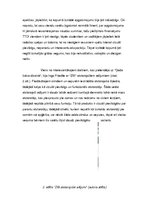 Eseja 'Izstādes "Design Isle" recenzija', 4.