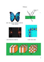 Referāts 'Zilā taurenīša optika', 9.
