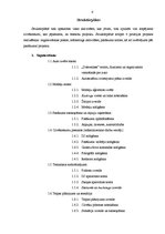 Konspekts 'Projekta "Mercedes Benz Fashion Show" apraksts', 4.