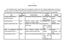 Konspekts 'Projekta "Mercedes Benz Fashion Show" apraksts', 10.