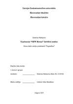 Referāts 'Uzņēmuma darbības analīze', 1.