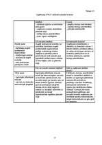 Referāts 'Uzņēmuma darbības analīze', 13.