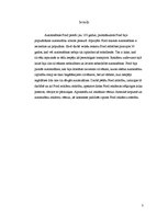 Referāts '"Ford" zīmols un reklāmas 1903.-1932.gadā', 3.