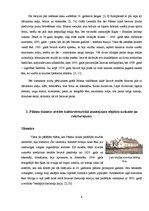 Referāts 'Pālenu dzimtas atstātais kultūrvēsturiskais mantojums Iecavas upes krastos', 6.