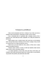 Referāts 'Pālenu dzimtas atstātais kultūrvēsturiskais mantojums Iecavas upes krastos', 25.