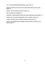 Referāts 'Pālenu dzimtas atstātais kultūrvēsturiskais mantojums Iecavas upes krastos', 30.