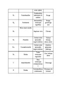 Referāts 'Vitamīni', 7.