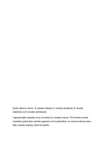 Referāts 'Vitamīni', 8.