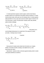 Referāts 'Vitamīni', 10.