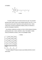 Referāts 'Vitamīni', 13.