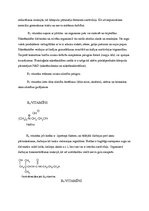 Referāts 'Vitamīni', 17.