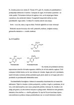 Referāts 'Vitamīni', 18.