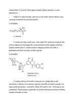 Referāts 'Vitamīni', 24.