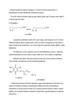 Referāts 'Vitamīni', 25.