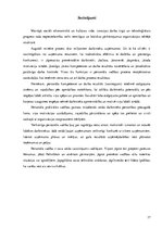 Referāts 'Personāla vadības procesa īss apskats', 17.