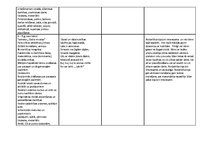 Prakses atskaite 'Aktīvās mācību un audzināšanas prakses pirmsskolā darbību norises īss apraksts', 11.