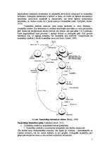 Konspekts 'Atšķirības starp taukskābju anabolisma un katabolisma ceļiem', 5.