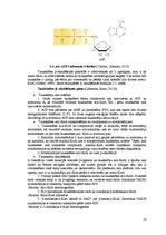 Konspekts 'Atšķirības starp taukskābju anabolisma un katabolisma ceļiem', 10.