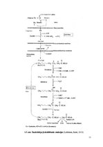 Konspekts 'Atšķirības starp taukskābju anabolisma un katabolisma ceļiem', 11.