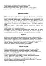 Referāts 'Amīni, aminoskābes', 10.