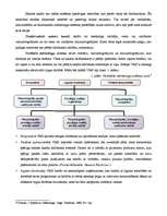 Konspekts 'Sadales kanāli un produktu pārvietošana', 3.