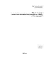 Referāts 'Sauso celtniecības un būvķīmijas maisījumu ražotāji Latvijā un pasaulē', 1.