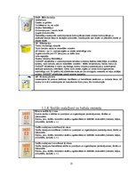Referāts 'Sauso celtniecības un būvķīmijas maisījumu ražotāji Latvijā un pasaulē', 15.
