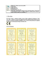 Referāts 'Sauso celtniecības un būvķīmijas maisījumu ražotāji Latvijā un pasaulē', 16.