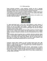 Referāts 'Sauso celtniecības un būvķīmijas maisījumu ražotāji Latvijā un pasaulē', 17.