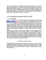 Referāts 'Sauso celtniecības un būvķīmijas maisījumu ražotāji Latvijā un pasaulē', 19.