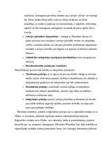 Referāts 'Pilsonības iegūšana kā etnisko minoritāšu integrācijas kanāls', 13.