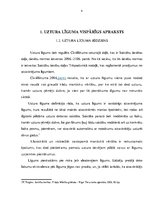 Referāts 'Uztura līgums kā nekustamā īpašuma atsavināšanas veids', 4.