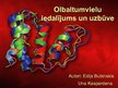 Prezentācija 'Olbaltumvielu iedalījums un uzbūve', 1.