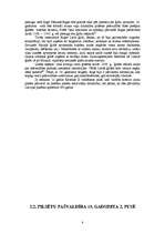 Referāts 'Pašvaldību vēsture', 9.