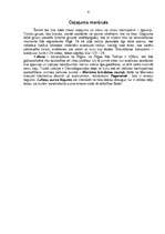 Referāts 'Igaunija', 6.