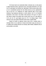 Prakses atskaite 'SIA "Deloitte Audits Latvia"', 22.