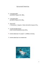 Referāts 'Peldēšana', 8.