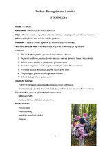 Prakses atskaite 'Kvalifikācijas prakses atskaite pirmsskolā', 7.