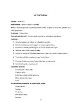 Prakses atskaite 'Kvalifikācijas prakses atskaite pirmsskolā', 14.