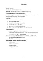 Prakses atskaite 'Kvalifikācijas prakses atskaite pirmsskolā', 24.